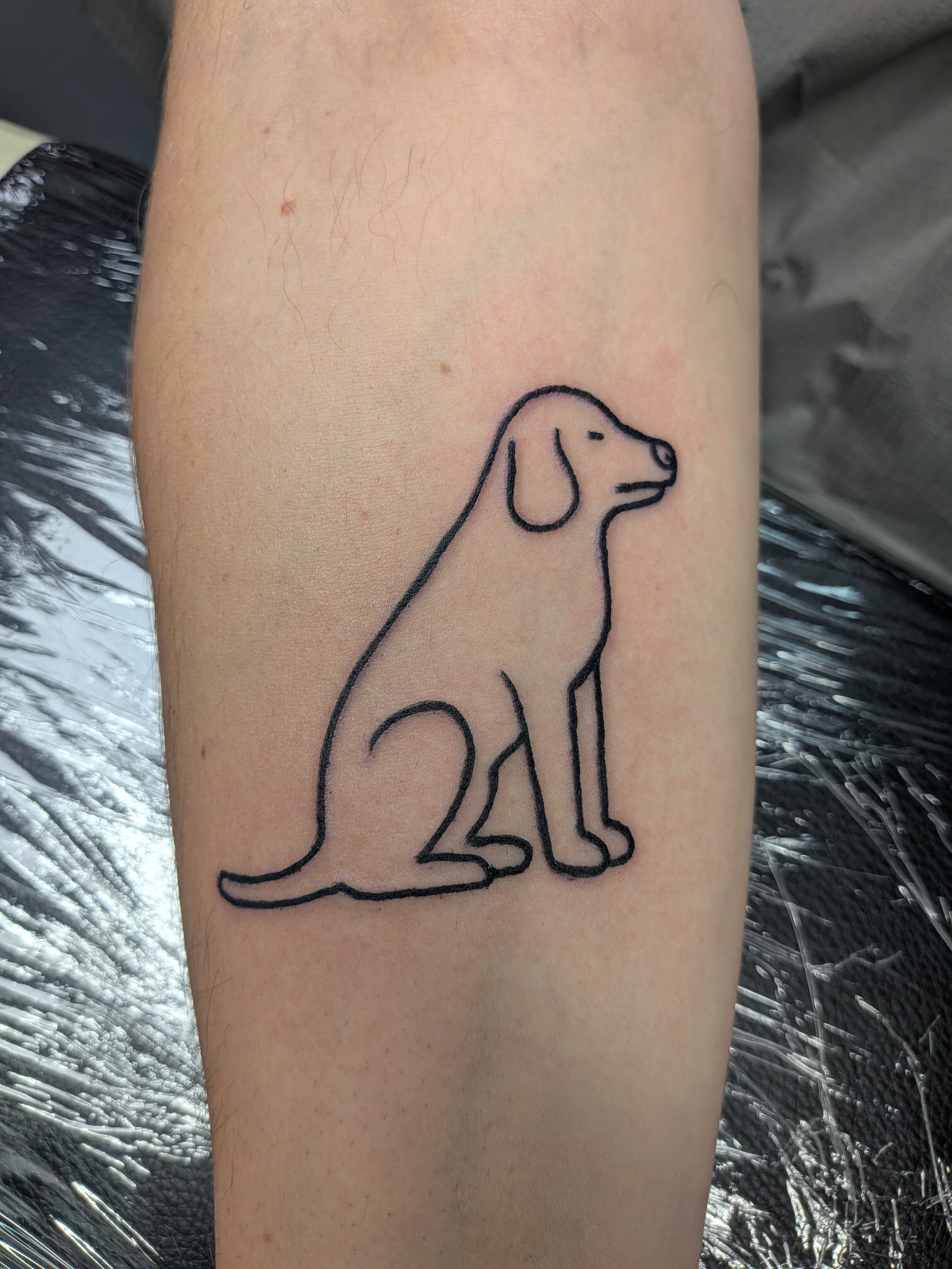 Fresh tattoo of the oldmanolddog sitting dog logo.